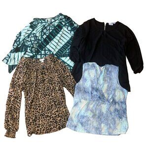 Clothes Blouse Lot Dress Shirt 4 Piece Bundle Top Kim Rogers CJ Banks Dana B 1X